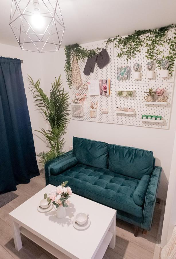 Forest Work & Relax Accommodation Overstone 외부 사진
